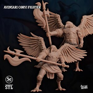 May include: Two Avensari Corvi Fighter figurines, a fantasy-themed miniature, are displayed. The figures are in a tan color, with bird-like heads, feathered wings, and armor. One figure holds a polearm. The text "AVENSARI CORVI FIGHTER" is at the top.