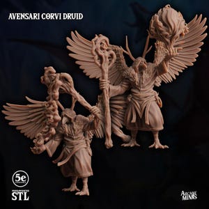 May include: Two Avensari Corvi Druid figurines. The figures are in a tan color, with bird-like features, wings, and holding staffs. One figure holds a flaming orb. The text "AVENSARI CORVI DRUID" is at the top. The text "5e compatible" and "STL" are at the bottom.
