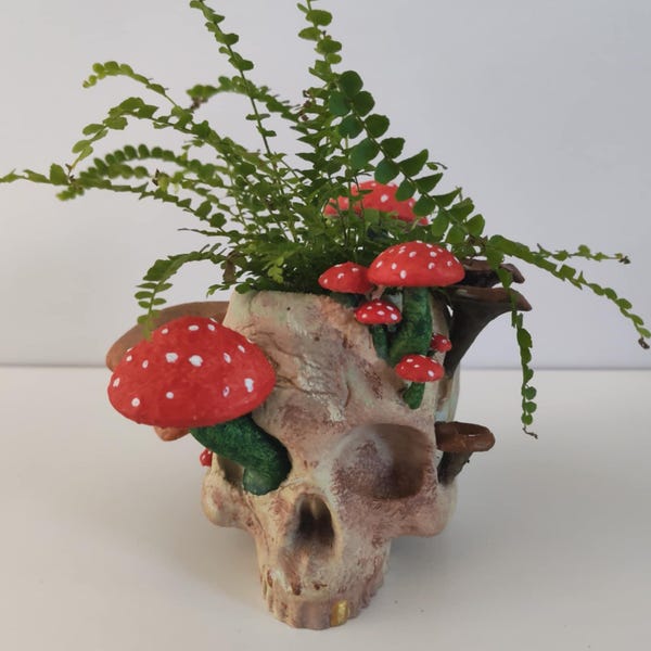 mushroom skull planter painted or unpainted