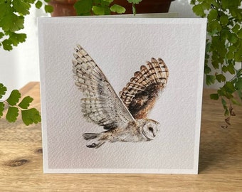 Barn Owl greetings card - art card, owl illustration