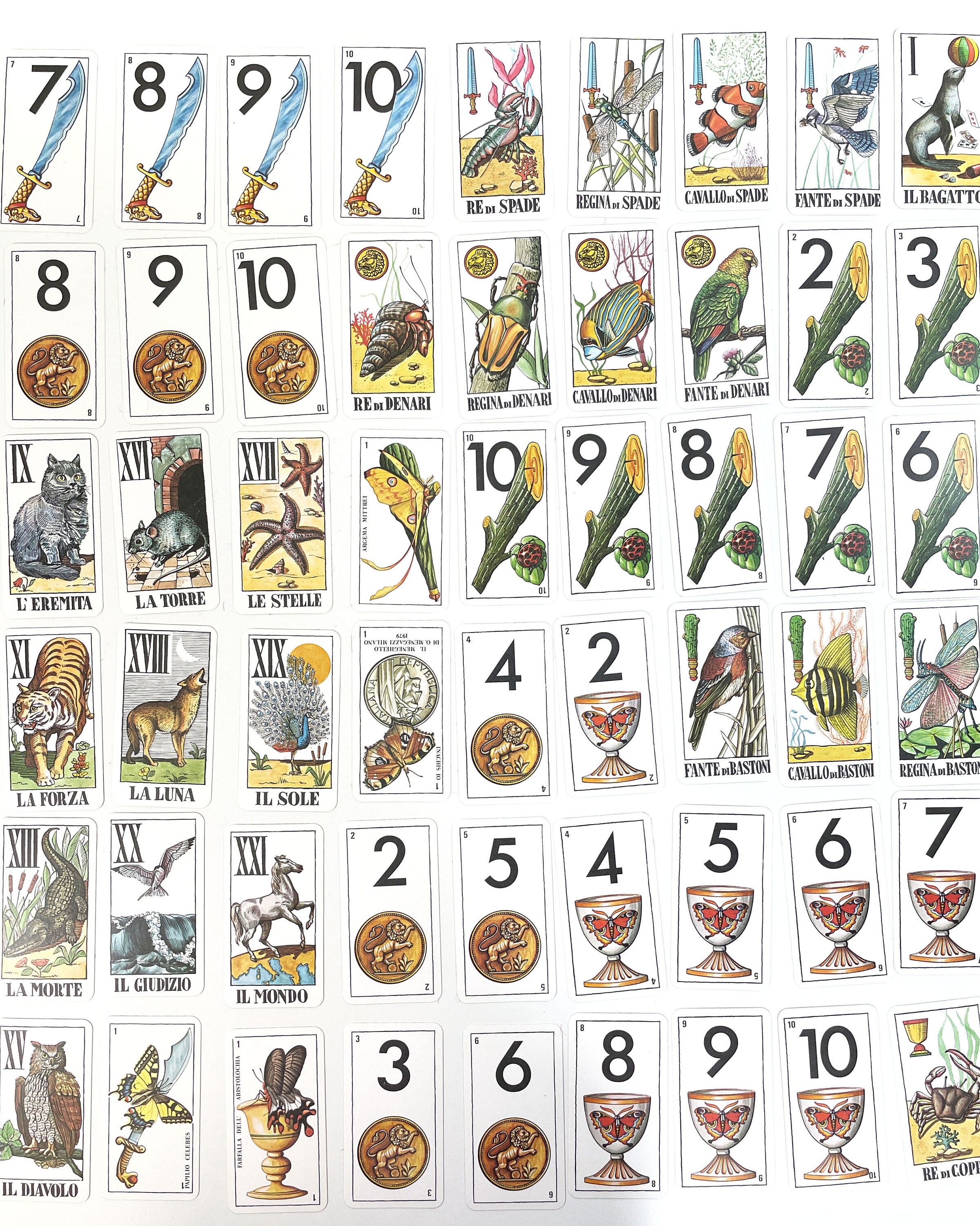 希少激レア動物タロット　Tarocco degli  animali Tarocco Degli Animali Tarot Cards - Osvaldo Menegazzi
