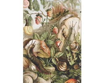 Snail Mushroom Art Tea Towel: Vintage Strawberry Kitchen Decor