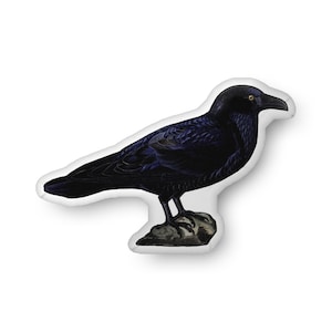 May include: A black raven-shaped pillow with a detailed illustration of a raven perched on a rock. The raven has a dark, glossy appearance with yellow eyes. The pillow is white around the raven's outline.