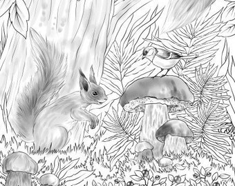 Forest Coloring Page