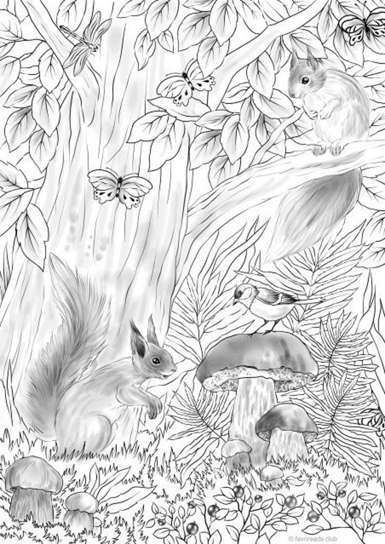 750 Top Coloring Book Pages Of Squirrels For Free 750 Top Coloring Book Pages Of Squirrels For Free