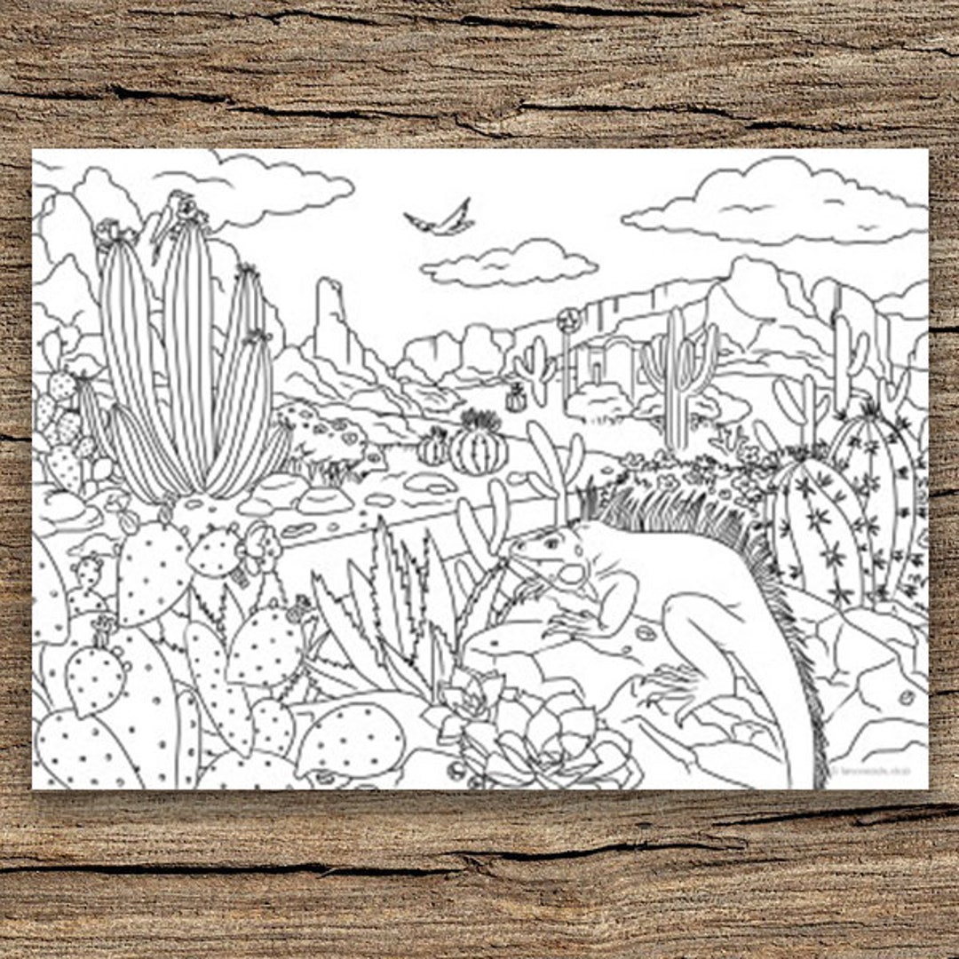 Tazas para colorear - Dibujos para colorear  Coloring pages, Free coloring  pages, Colorful pictures