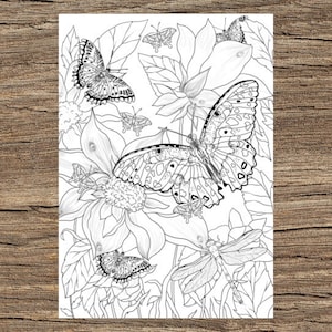 Butterflies - Printable Adult Coloring Page from Favoreads Coloring book pages for adults and kids Coloring sheets Coloring designs