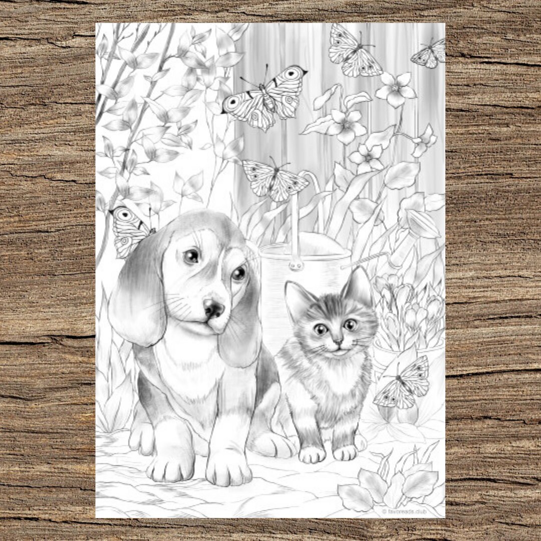 Kitty and Dog - Printable Adult Coloring Page from Favoreads (Coloring book  pages for adults and kids, Coloring sheets, Coloring designs)