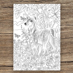 Baby Deer - Printable Adult Coloring Page from Favoreads Coloring book pages for adults and kids Coloring sheets Coloring designs