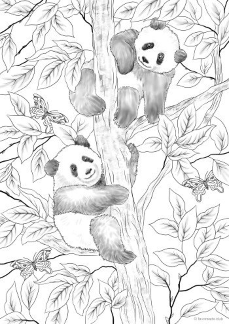 Pandas Printable Adult Coloring - Il 794xN.1906989546 Ma43