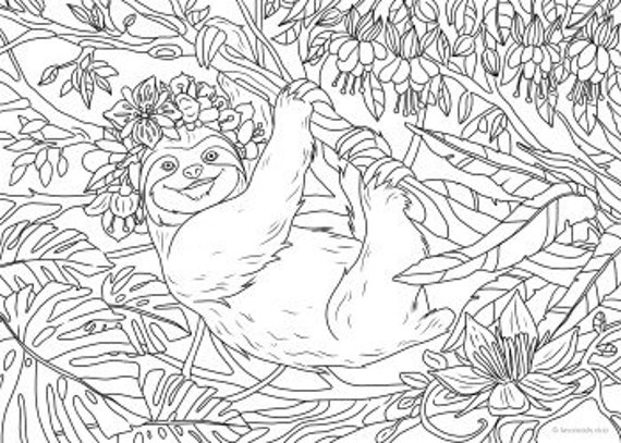 Sloth Printable Adult Coloring Page From Favoreads Coloring Etsy