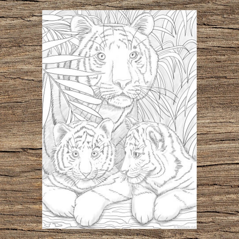 Tigers  Printable Adult Coloring Page from Favoreads image 1