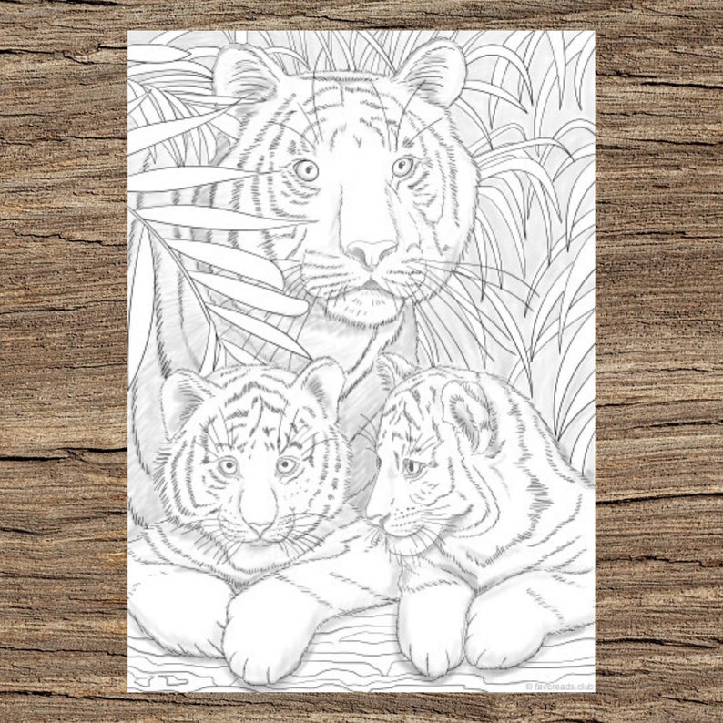 Tigers Printable Adult Coloring Page From Favoreads - Etsy