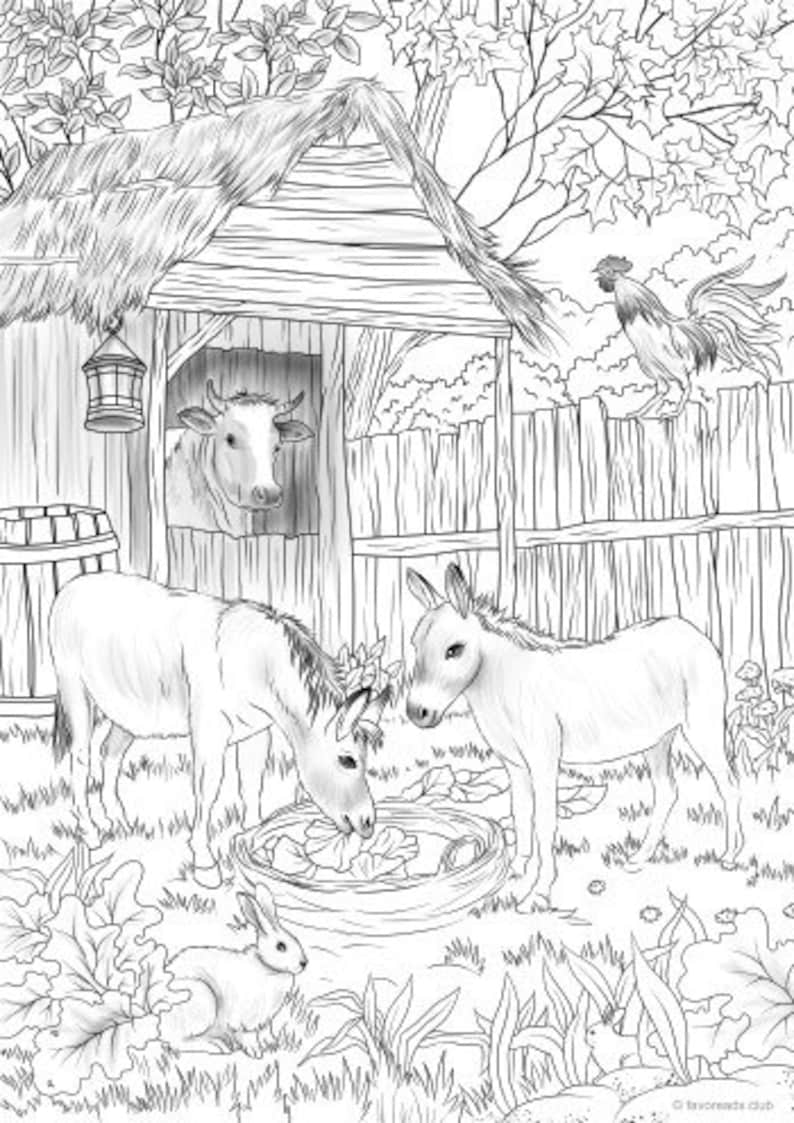Donkeys Printable Adult Coloring Page from Favoreads | Etsy