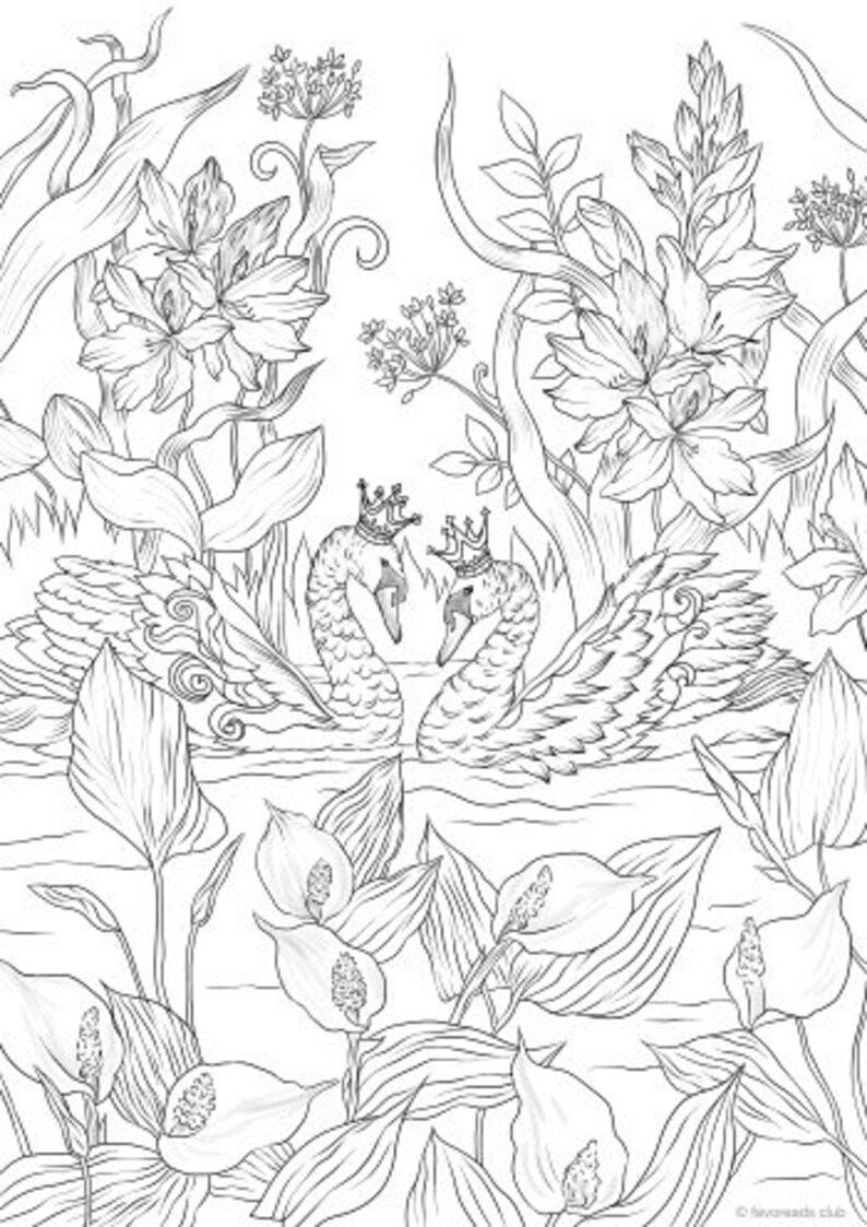 Swans Printable Adult Coloring Page from Favoreads Coloring | Etsy