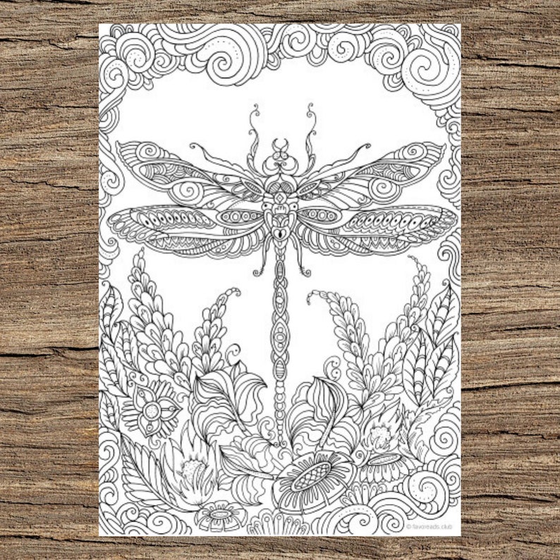 Dragonfly Printable Adult Coloring Page From Favoreads | Etsy