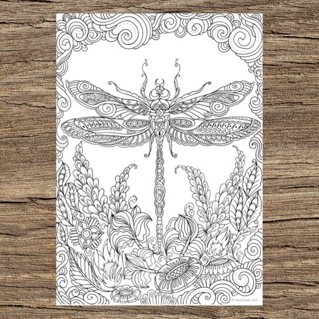 Free Dragonfly Coloring Pages