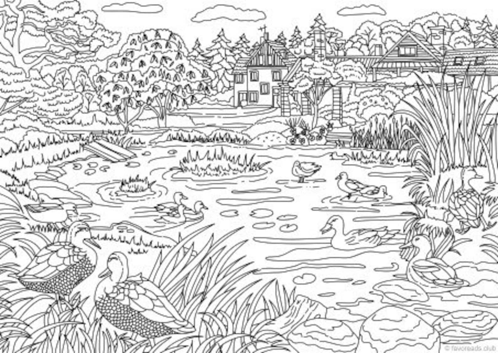 Ducks Printable Adult Coloring Page From Favoreads coloring Book Pages ...