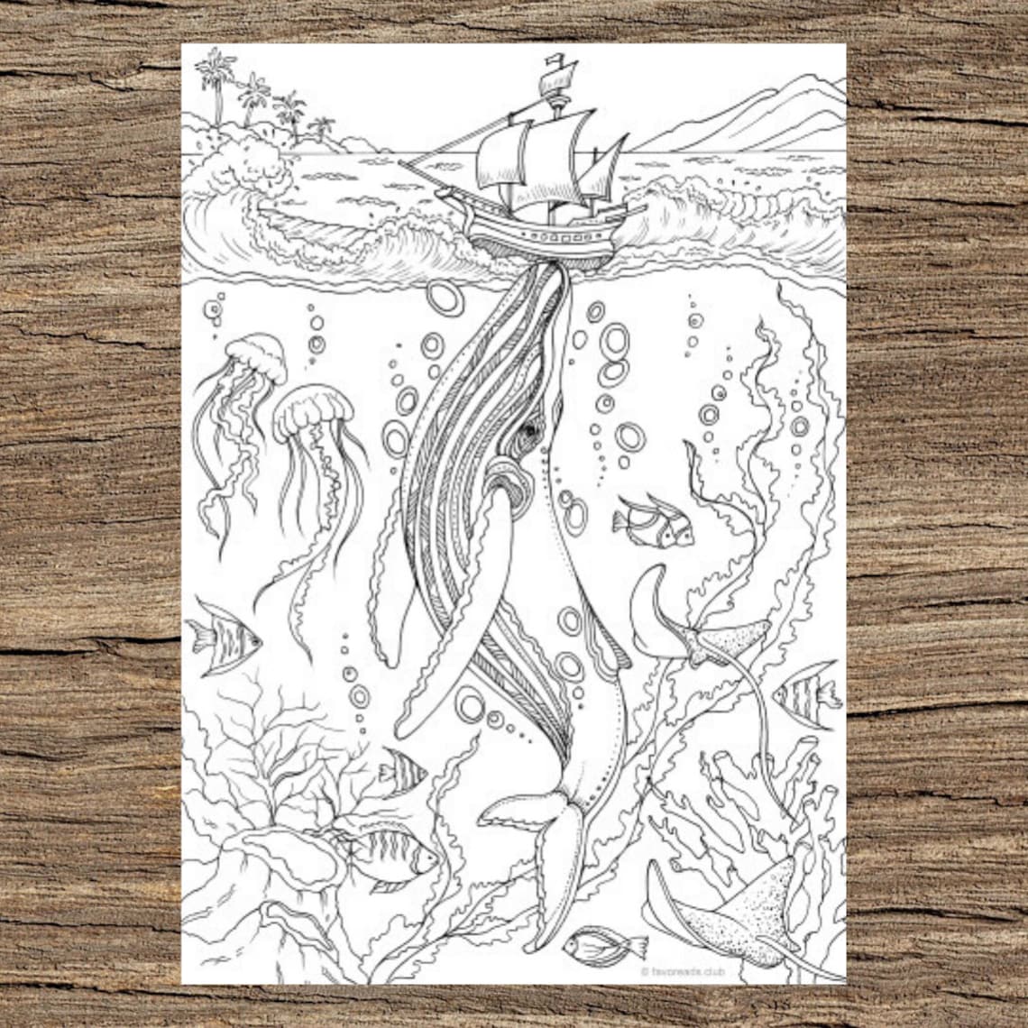 Whale Printable Adult Coloring Page From Favoreads Coloring - Etsy Canada