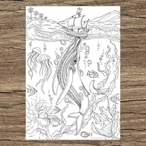 Whale - Printable Adult Coloring Page from Favoreads Coloring book pages for adults and kids Coloring sheets Coloring designs