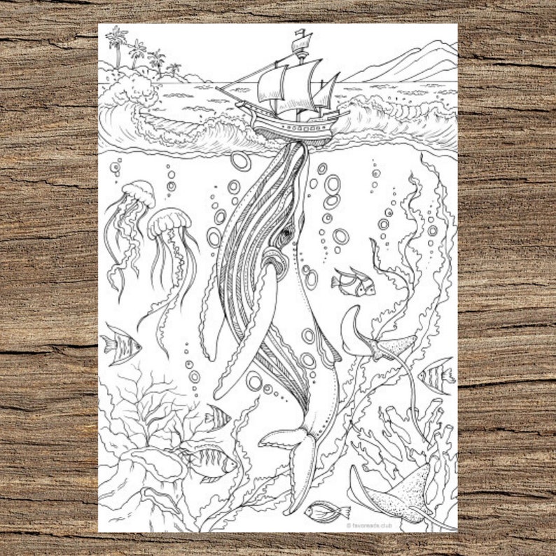 Whale Printable Adult Coloring Page from Favoreads Coloring book pages for adults and kids Coloring sheets Coloring designs image 1