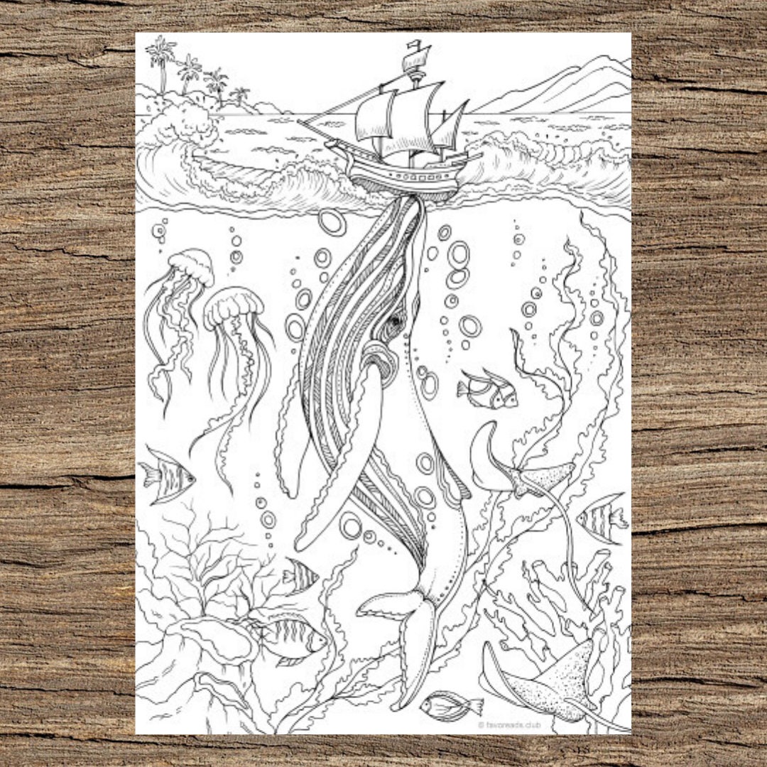 Whale Printable Adult Coloring Page From Favoreads Coloring - Etsy Canada