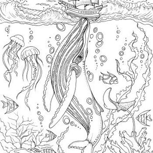 Whale - Printable Adult Coloring Page From Favoreads Coloring Book ...
