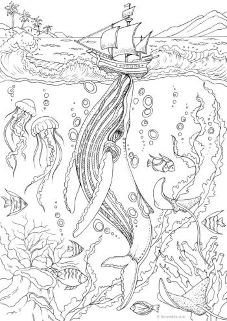 Whale Printable Adult Coloring Page from Favoreads Coloring book pages for adults and kids Coloring sheets Coloring designs image 2
