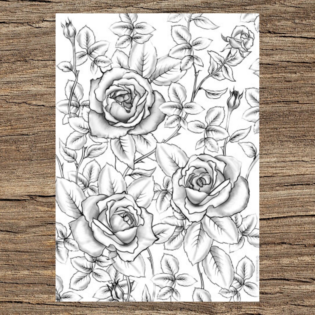 Roses Printable Adult Coloring Page From Favoreads coloring Book Pages