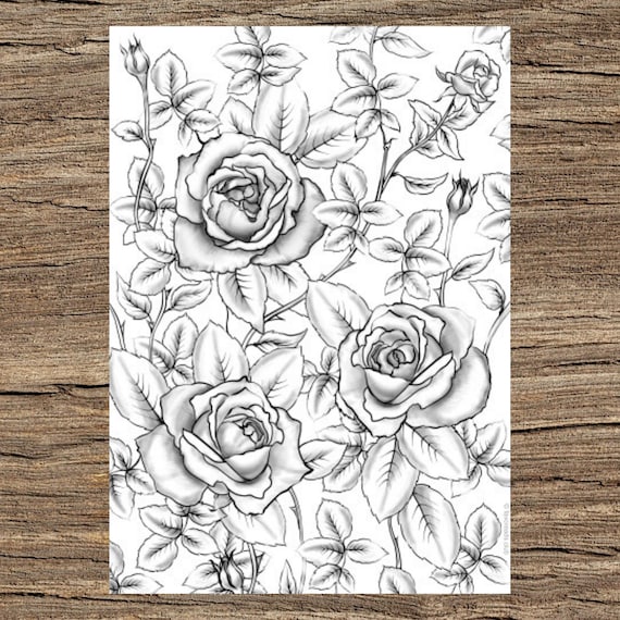 picture Printable Rose Coloring Pages For Adults roses printable adult coloring page from favoreads coloring etsy