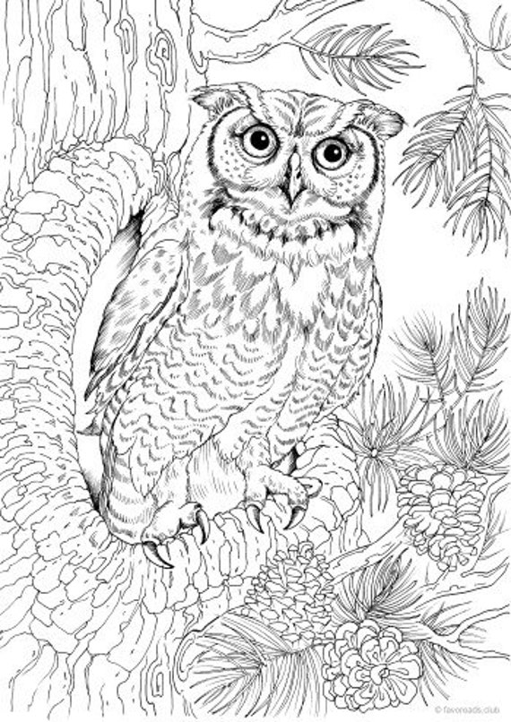 free printable adult coloring pages owl