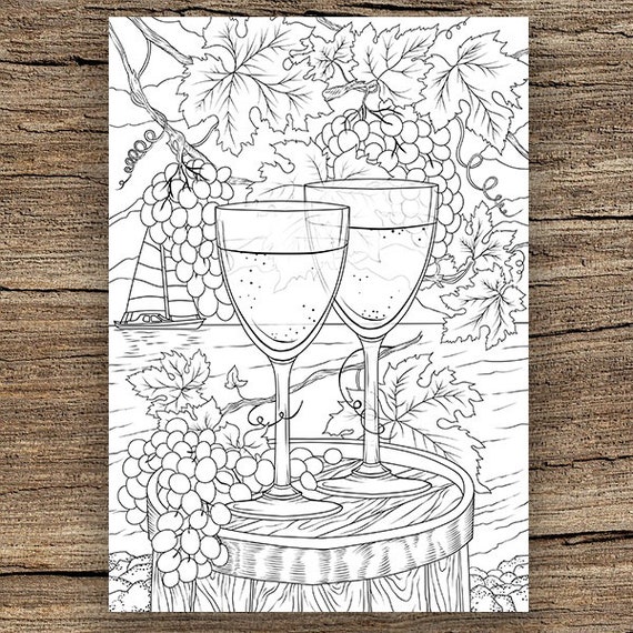 Adult Coloring Books: Coloring Fun Adult Coloring Book Wine Gift