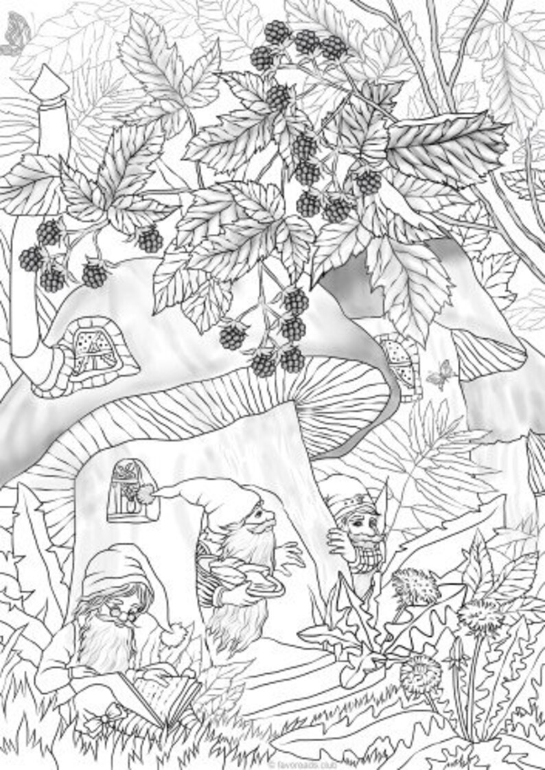 Download Gnomes Printable Adult Coloring Page from Favoreads | Etsy