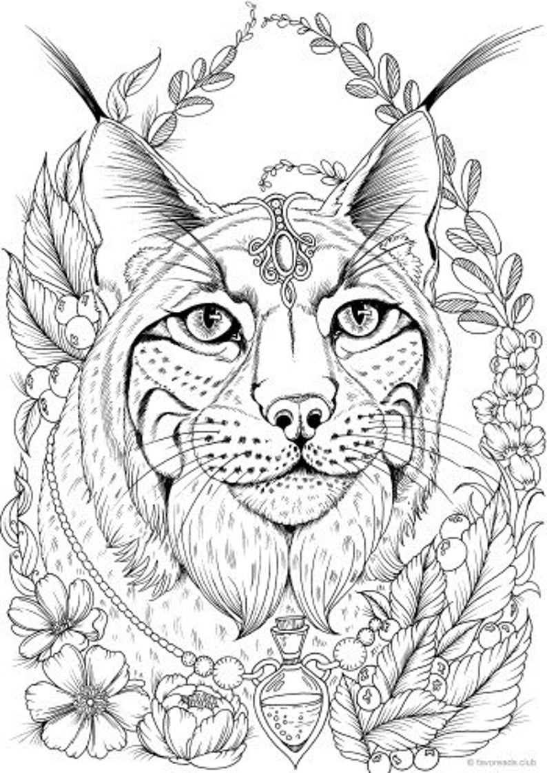 Download Lynx Printable Adult Coloring Page from Favoreads Coloring | Etsy