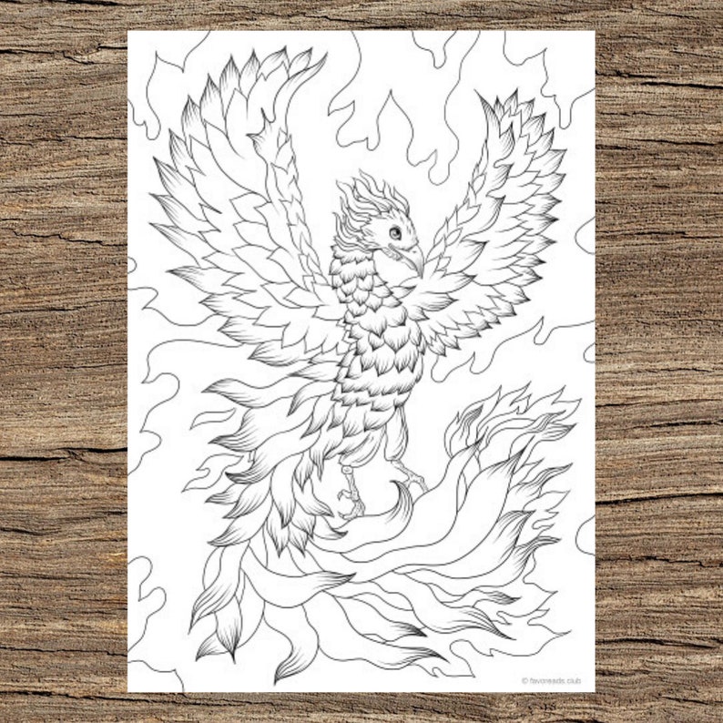 Phoenix Printable Adult Coloring Page from Favoreads Coloring book pages for adults and kids, Coloring sheets, Colouring designs image 1
