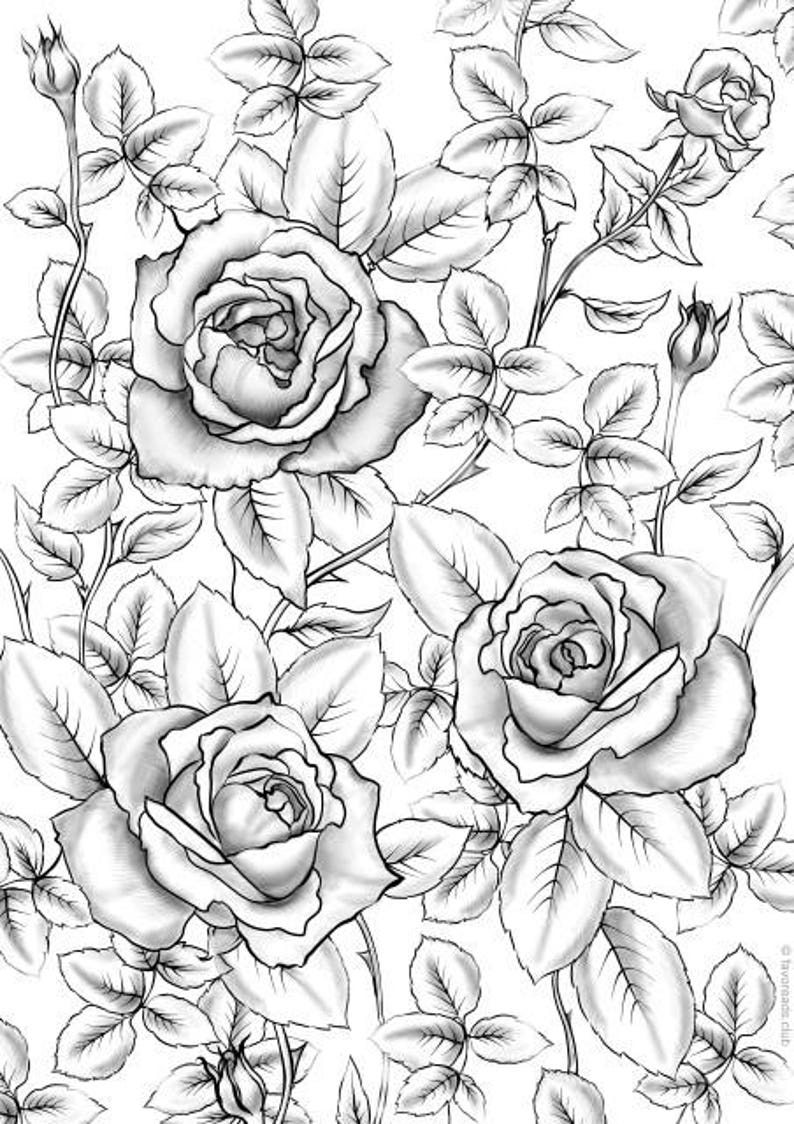 Roses Printable Adult Coloring Page from Favoreads ...