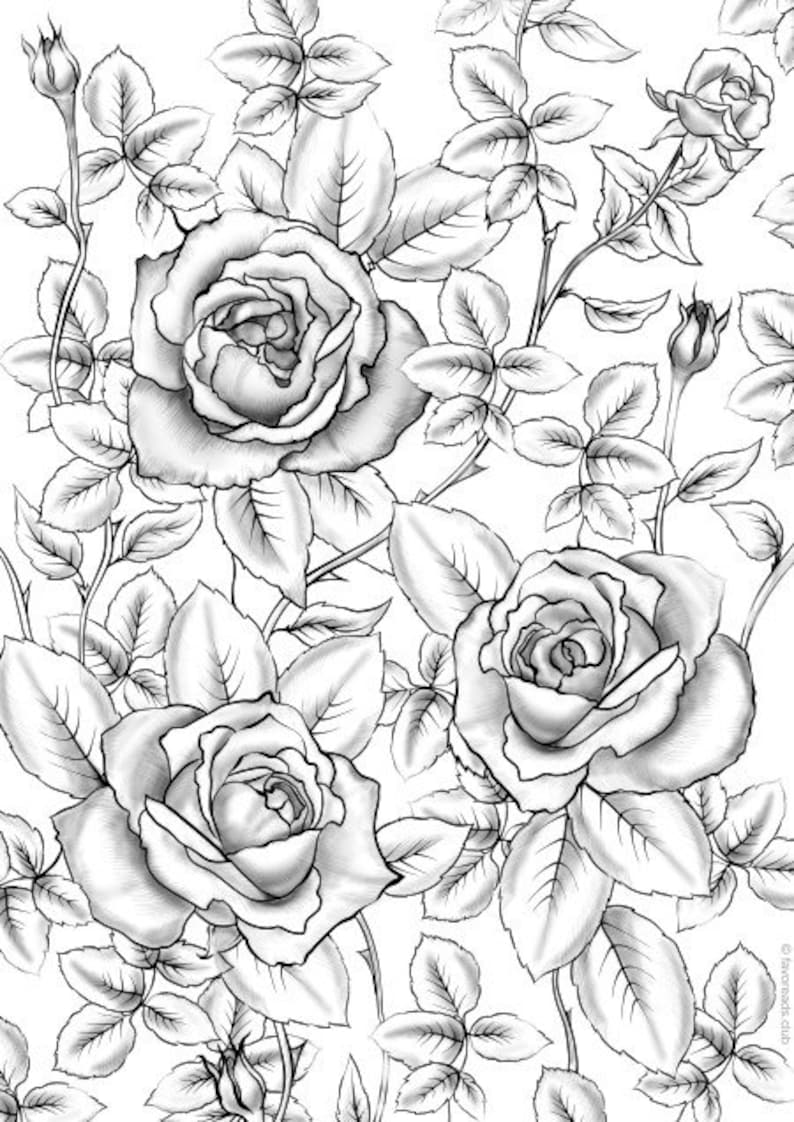 grayscale-bundle-10-printable-adult-coloring-pages-from-etsy