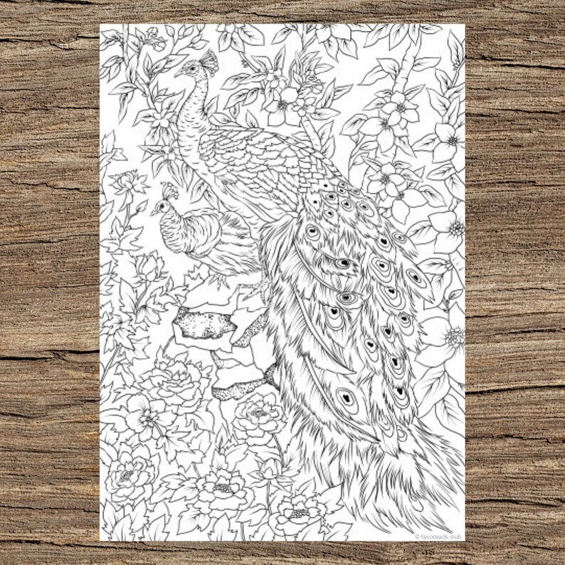 Peacocks Printable Adult Coloring Page From Favoreads coloring Book ...