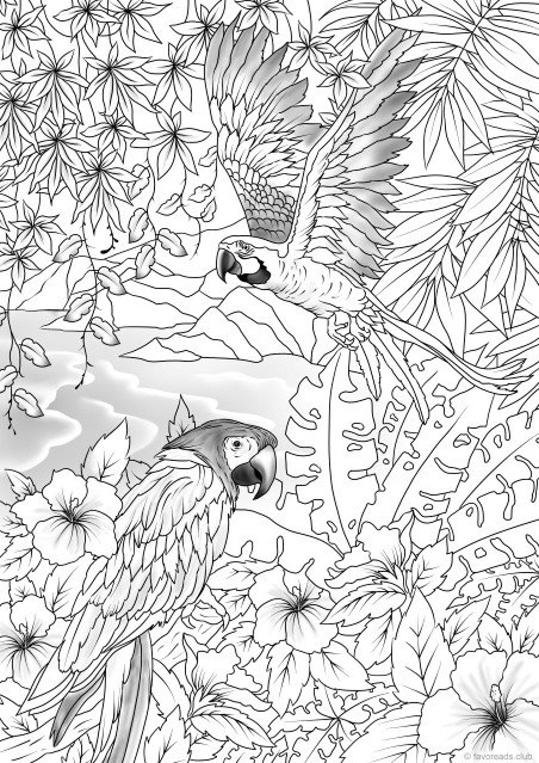 Paradise Parrots Printable Adult Coloring Page From - Etsy