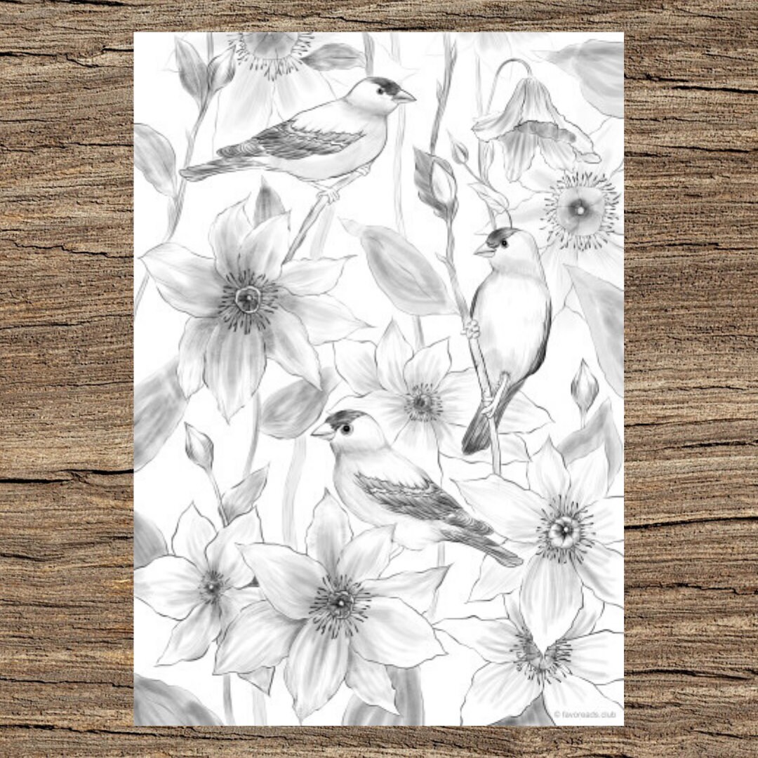 birds and flowers printable adult coloring page from etsy