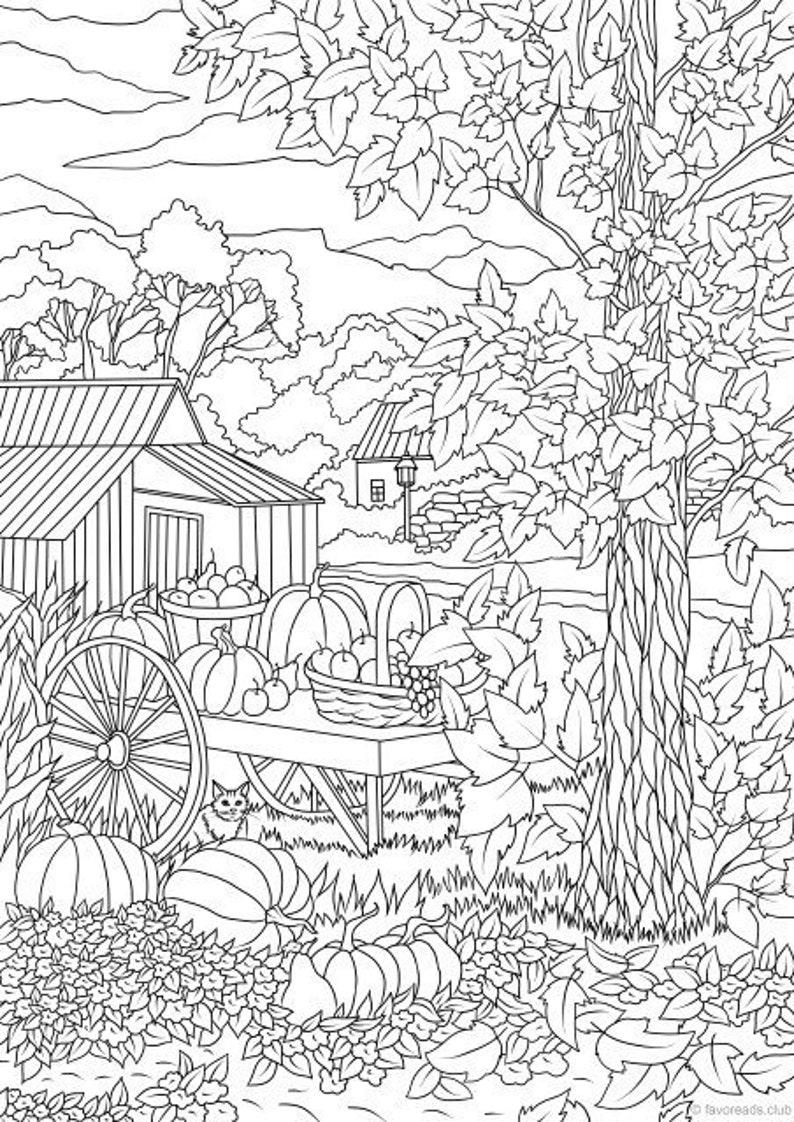Autumn Harvest Printable Adult Coloring Page From Favoreads - Etsy