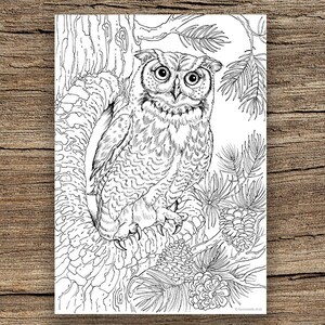 Owl - Printable Adult Coloring Page From Favoreads Coloring Book Pages ...
