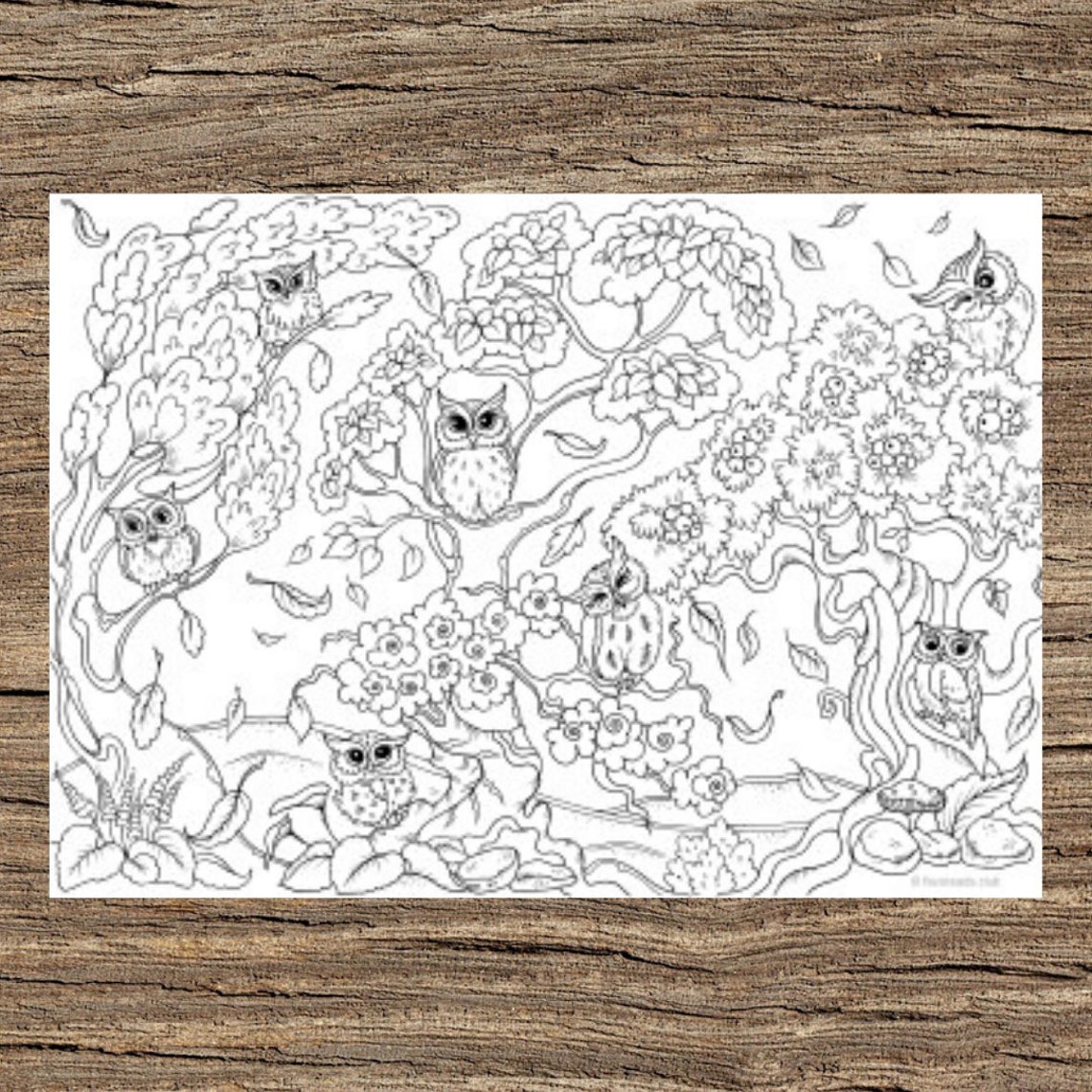 Owl Printable Adult Coloring Page From Favoreads coloring - Etsy