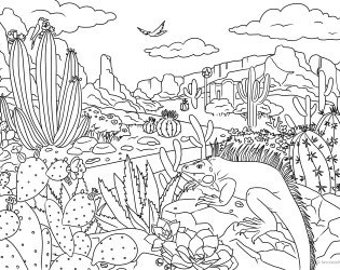 Free Coloring Pages Of The Desert