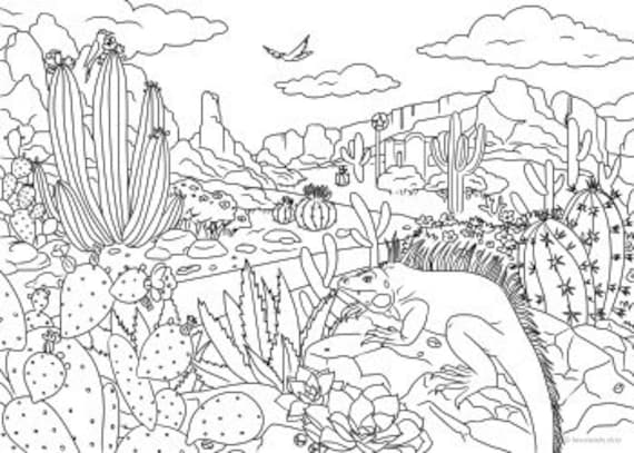 Jovem raposa no deserto - Raposas - Coloring Pages for Adults