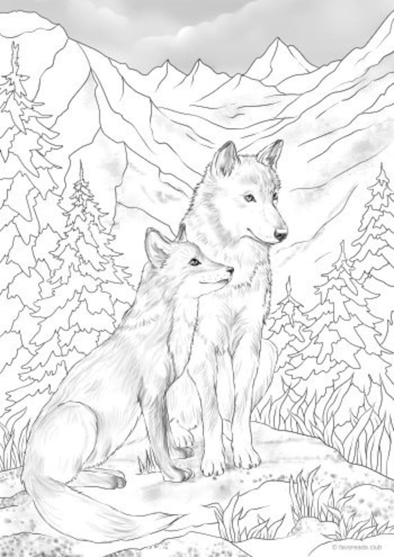 Baby Realistic Fox Coloring Pages