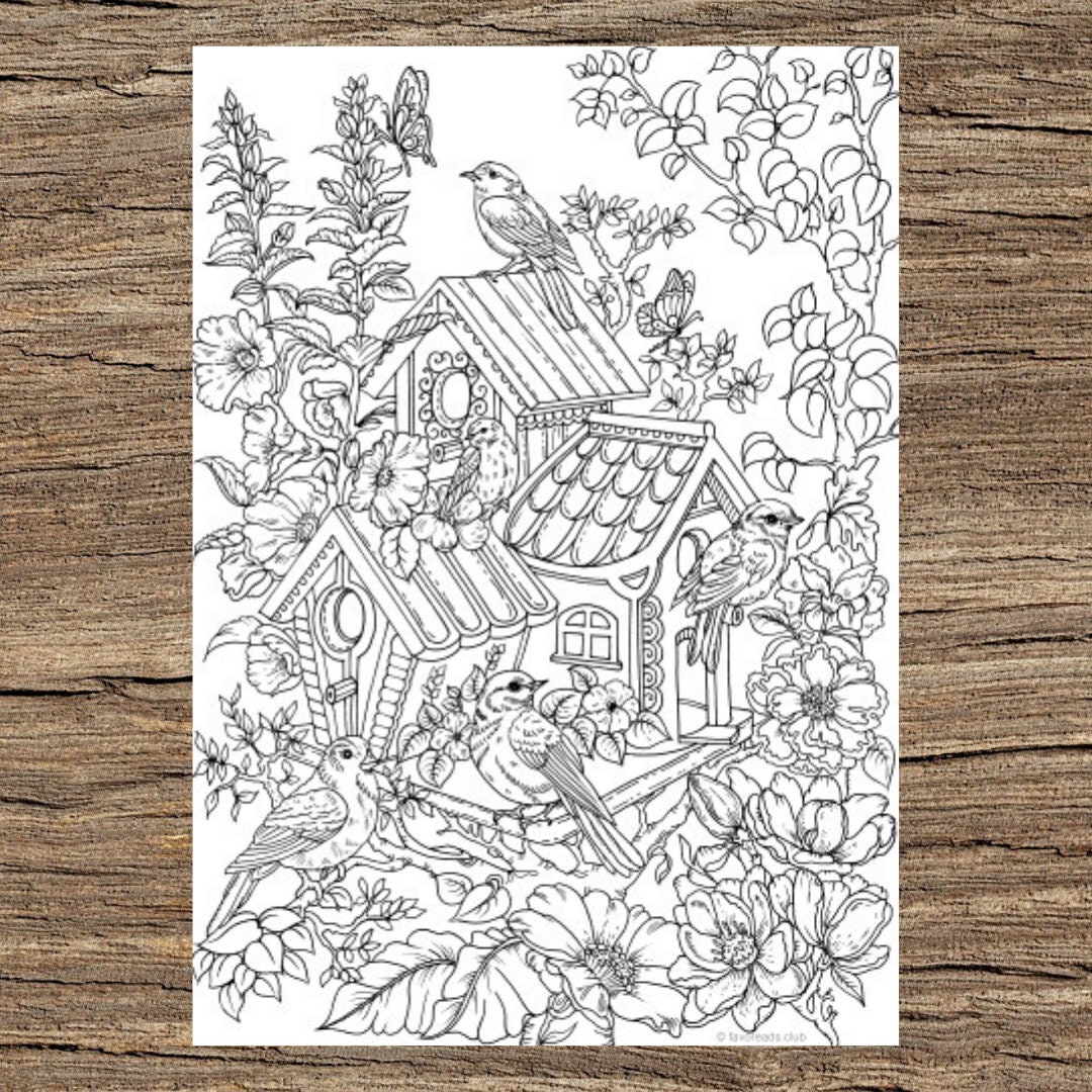 Download Birdhouse Printable Adult Coloring Page From Favoreads Etsy