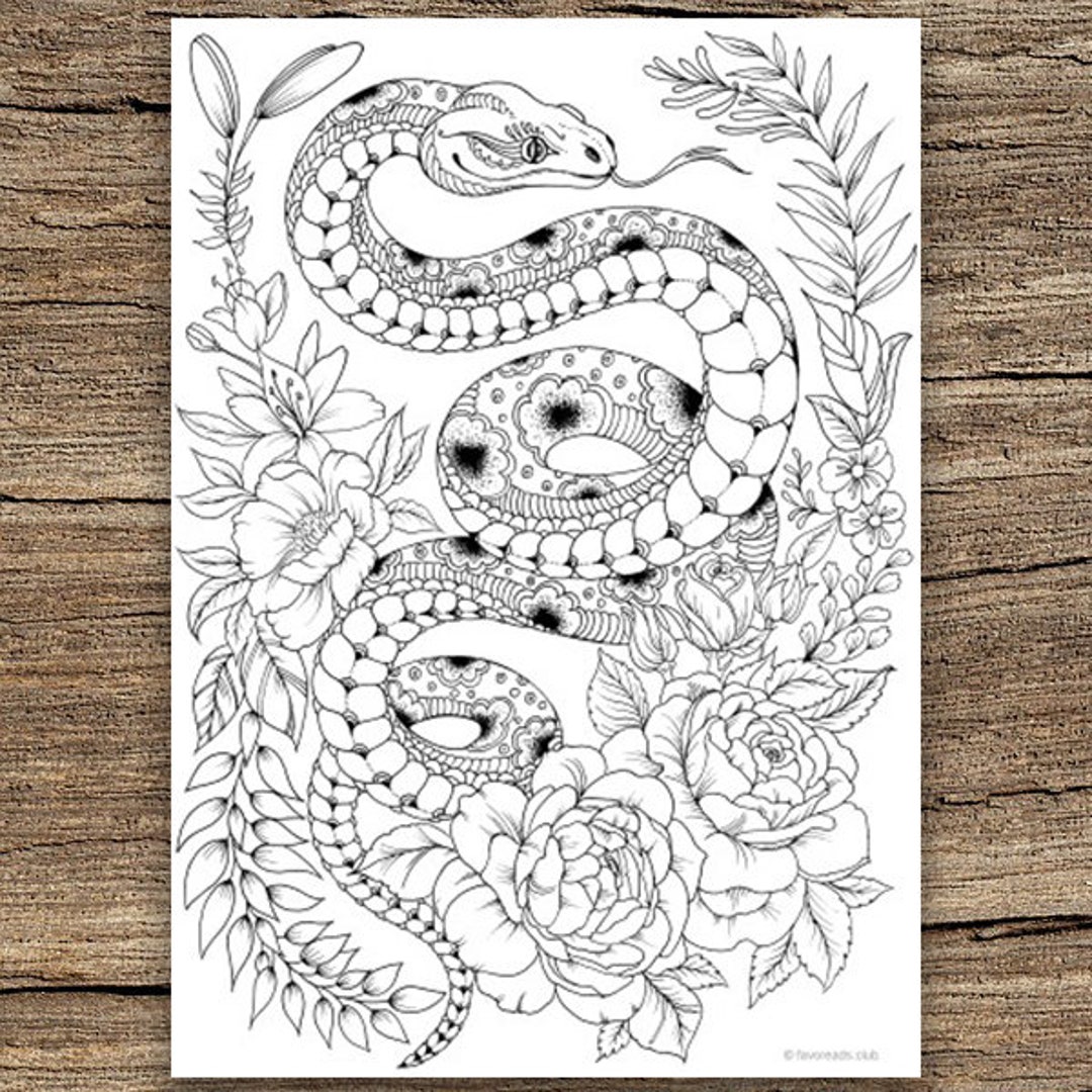 Cahier de coloriage adulte « Of Spiders and Serpents » Montblanc Fine  Stationery