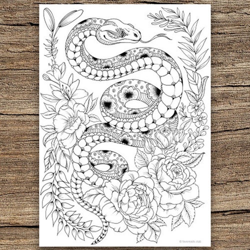 Snake Printable Adult Coloring Page From Favoreads coloring - Etsy