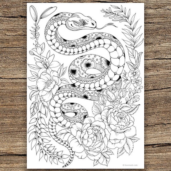 Mandala Printable Adult Coloring Page From Favoreads coloring Book Pages  for Adults and Kids, Coloring Sheets, Colouring Designs 